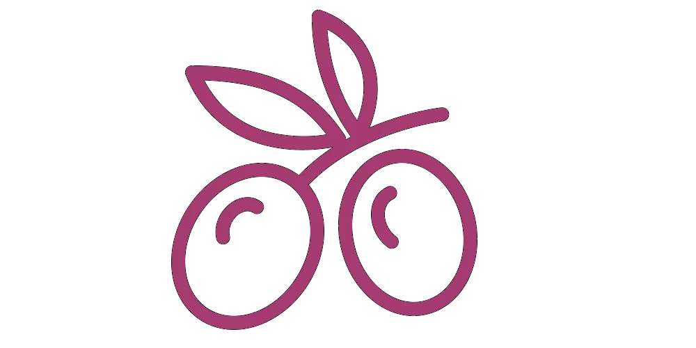 extra virgin olive oil icon icon olive oil