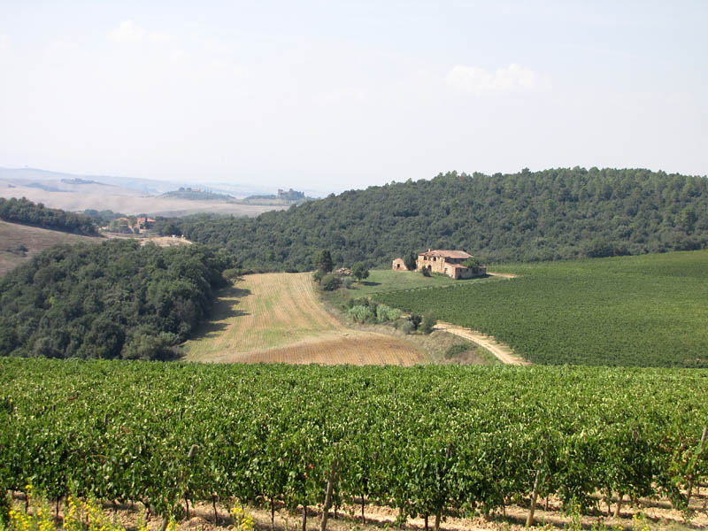 Azienda Agricola Trequanda BottleUp