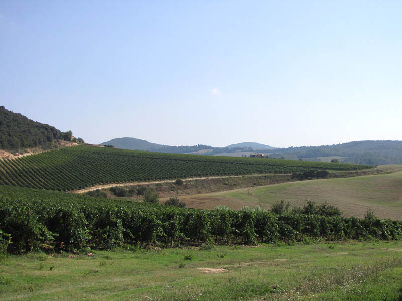 Azienda Agricola Trequanda BottleUp