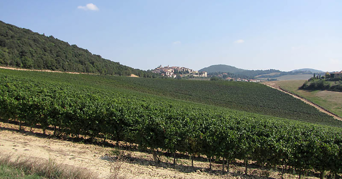 Azienda Agricola Trequanda BottleUp